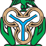 CBN LOGO