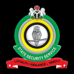 DSS LOGO
