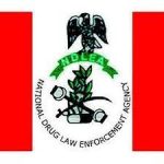 NDLEA LOGO